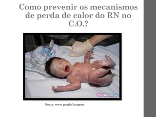 Como prevenir os mecanismos
de perda de calor do RN no
C.O.?
Fonte: www.google/imagens
 
