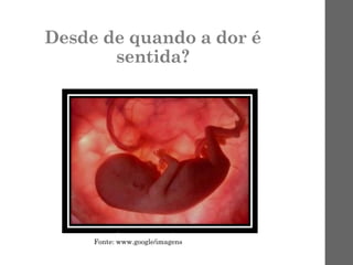 Desde de quando a dor é
sentida?
Fonte: www.google/imagens
 