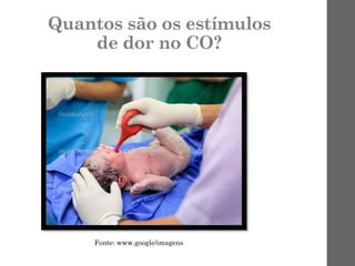 Quantos são os estímulos
de dor no CO?
Fonte: www.google/imagens
 