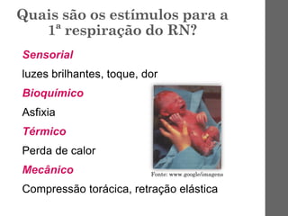 Quais são os estímulos para a
1ª respiração do RN?
Sensorial
luzes brilhantes, toque, dor
Bioquímico
Asfixia
Térmico
Perda de calor
Mecânico
Compressão torácica, retração elástica
Fonte: www.google/imagens
 