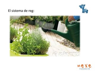 El sistema de reg:
 