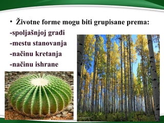 • Životne forme mogu biti grupisane prema:
-spoljašnjoj građi
-mestu stanovanja
-načinu kretanja
-načinu ishrane
 