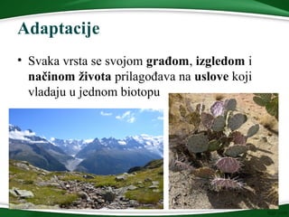 Adaptacije
• Svaka vrsta se svojom građom, izgledom i
načinom života prilagođava na uslove koji
vladaju u jednom biotopu
 