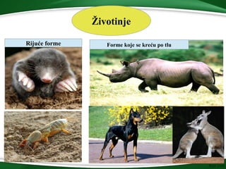 Životinje
Rijuće forme Forme koje se kreću po tlu
 