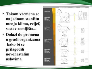 • Tokom vremena se
na jednom staništu
menja klima, reljef,
sastav zemljišta...
• Dolazi do promena
u građi organizama
kako bi se
prilagodili
novonastalim
uslovima
 