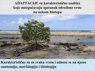 ADAPTACIJE su karakteristične osobine
koje omogućavaju opstanak određene vrste
na nekom biotopu
Karakteristične su za svaku vrstu i odnose se na njenu
anatomiju, morfologiju i fiziologiju
 