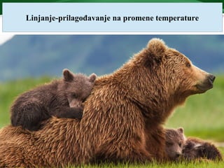 Linjanje-prilagođavanje na promene temperature
 