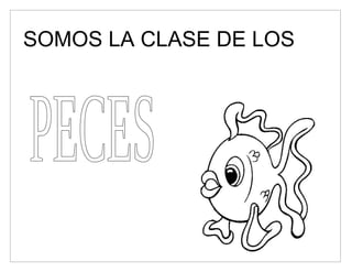 SOMOS LA CLASE DE LOS
 