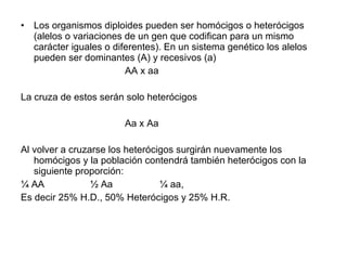 Los organismos diploides pueden ser homócigos o heterócigos (alelos o variaciones de un gen que codifican para un mismo carácter iguales o diferentes). En un sistema genético los alelos pueden ser dominantes (A) y recesivos (a) AA x aa La cruza de estos serán solo heterócigos Aa x Aa Al volver a cruzarse los heterócigos surgirán nuevamente los homócigos y la población contendrá también heterócigos con la siguiente proporción: ¼ AA ½ Aa ¼ aa, Es decir 25% H.D., 50% Heterócigos y 25% H.R. 
