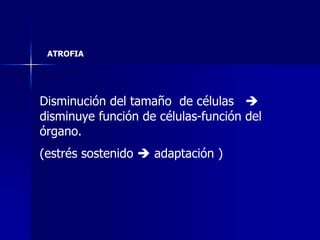 Disminución del tamaño de células 
disminuye función de células-función del
órgano.
(estrés sostenido  adaptación )
ATROFIA
 