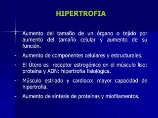 Hyperplasia
 