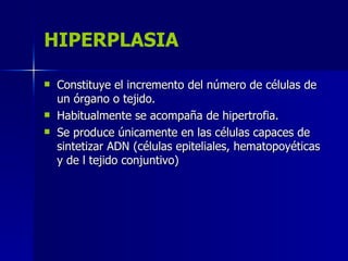 HIPERPLASIA
 Constituye el incremento del número de células de
Constituye el incremento del número de células de
un órgano o tejido.
un órgano o tejido.
 Habitualmente se acompaña de hipertrofia.
Habitualmente se acompaña de hipertrofia.
 Se produce únicamente en las células capaces de
Se produce únicamente en las células capaces de
sintetizar ADN (células epiteliales, hematopoyéticas
sintetizar ADN (células epiteliales, hematopoyéticas
y de l tejido conjuntivo)
y de l tejido conjuntivo)
 
