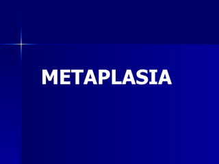 METAPLASIA
 