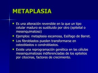 METAPLASIA
METAPLASIA
 Es una alteración reversible en la que un tipo
Es una alteración reversible en la que un tipo
celular maduro es sustituido por otro (epitelial o
celular maduro es sustituido por otro (epitelial o
mesenquimatoso)
mesenquimatoso)
 Ejemplos: metaplasia escamosa, Esófago de Barret.
Ejemplos: metaplasia escamosa, Esófago de Barret.
 Los fibroblastos pueden transformarse en
Los fibroblastos pueden transformarse en
osteoblastos o condroblastos.
osteoblastos o condroblastos.
 Existe una reprogramación genética en las células
Existe una reprogramación genética en las células
mesenquimatosas indiferenciadas de los epitelios
mesenquimatosas indiferenciadas de los epitelios
por citocinas, factores de crecimiento.
por citocinas, factores de crecimiento.
 