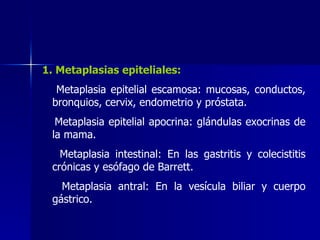 1. Metaplasias epiteliales:
Metaplasia epitelial escamosa: mucosas, conductos,
bronquios, cervix, endometrio y próstata.
Metaplasia epitelial apocrina: glándulas exocrinas de
la mama.
Metaplasia intestinal: En las gastritis y colecistitis
crónicas y esófago de Barrett.
Metaplasia antral: En la vesícula biliar y cuerpo
gástrico.
 