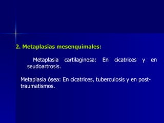 2. Metaplasias mesenquimales:
Metaplasia cartilaginosa: En cicatrices y en
seudoartrosis.
Metaplasia ósea: En cicatrices, tuberculosis y en post-
traumatismos.
 