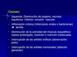 Causas:
- Isquemia: Disminución de oxigeno, necrosis
isquémica- infartos- oclusión vascular.
- Inflamación crónica (infecciones virales o bacterianas)
 atrofia.
- Disminución de la actividad del músculo esquelético:
reposo prolongado, inanición o nutrición inadecuada.
- Interrupción de las señales tróficas (denervación:
polio)
- Interrupción de las señales hormonales (ablación
glandular)
 