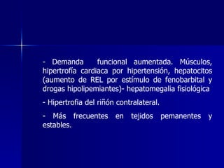 - Demanda  funcional aumentada. Músculos, hipertrofía cardiaca por hipertensión, hepatocitos (aumento de REL por estímulo de fenobarbital y drogas hipolipemiantes)- hepatomegalia fisiológica Hipertrofia del riñón contralateral. Más frecuentes en tejidos pemanentes y estables. 