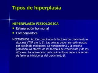 Tipos de hiperplasia HIPERPLASIA FISIOLÓGICA Estimulación hormonal Compensadora MECANISMOS: Acción combinada de factores de crecimiento  α , citocinas (TNF  α  e IL 6). Las células deben ser estimuladas por acción de mitógenos. La norepinefrina y la insulina potencian los efectos de los factores de crecimiento y de las citocinas. La interrupción del crecimento se debe a la acción de factores inhibidores del crecimiento  β . 