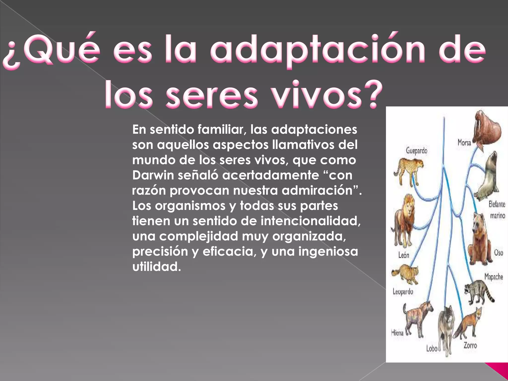 Adaptación de los seres vivos | PPT