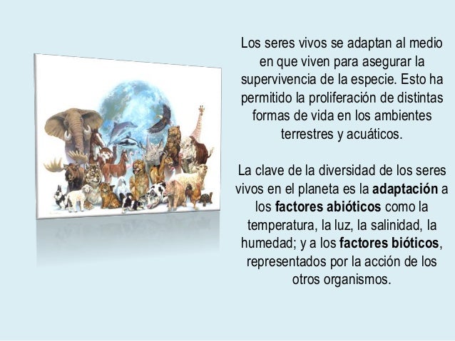 Adaptación de los seres vivos