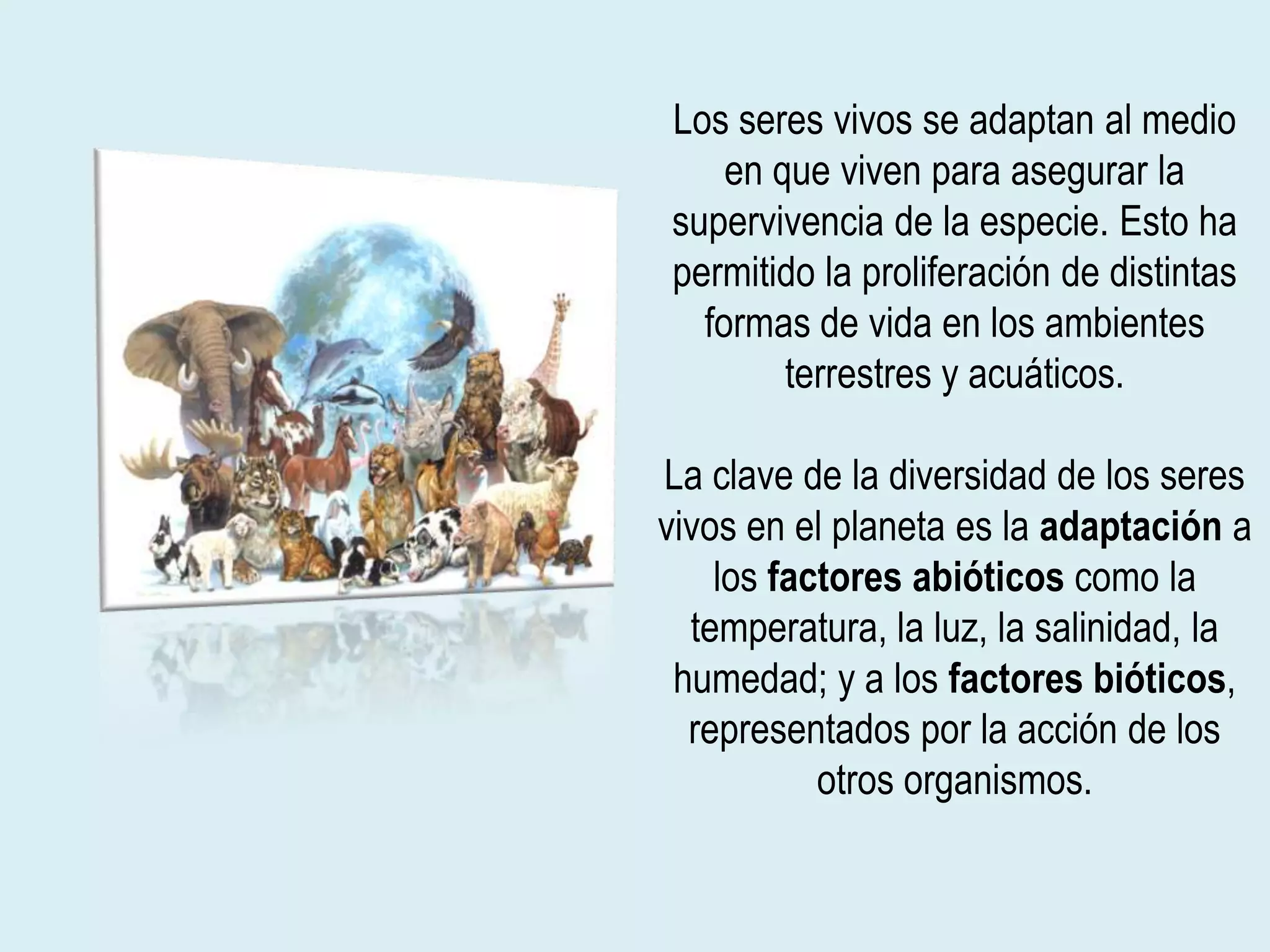Adaptación de los seres vivos | PPT