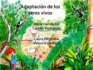 Adaptación de los
   seres vivos

      María Camila del
     Castillo Rodríguez

     Laura Alejandra
     Valencia Cardozo
 