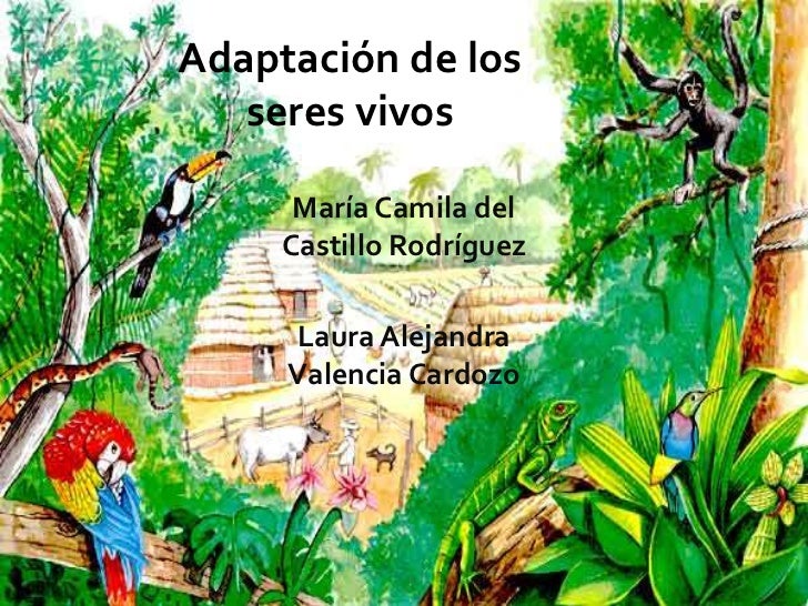 Adaptación de los seres vivos