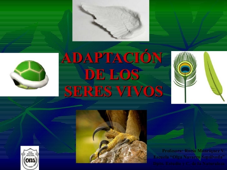 Adaptación De Seres Vivos