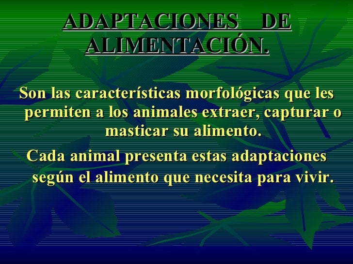 Adaptación De Seres Vivos