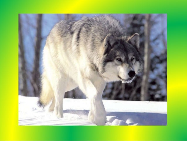 How to use facebook login code