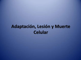 Adaptación, Lesión y Muerte Celular 