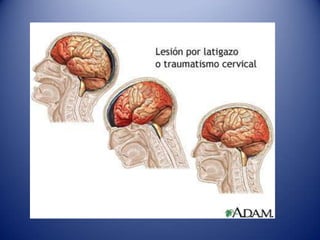 Agentes Infecciosos: Virus, bacterias, hongos y parásitos