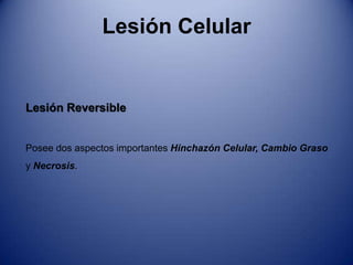 Agentes Físicos: Traumatismo, calor, frio o choques eléctricos