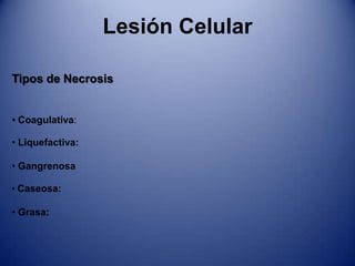 Lesión CelularHinchazón Celular:Fracaso de las bombas de Iones para mantener la Homeostasis celular
