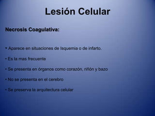 Es la primera manifestación de casi todas las lesiones