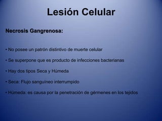  Resultante de la ausencia de oxigeno