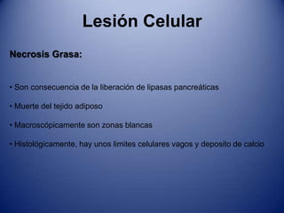  Resultante de la ausencia de oxigeno