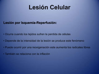 Lesión CelularNecrosis Gangrenosa: No posee un patrón distintivo de muerte celular 