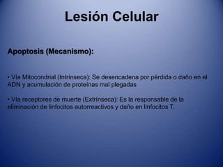  Húmeda: es causa por la penetración de gérmenes en los tejidos