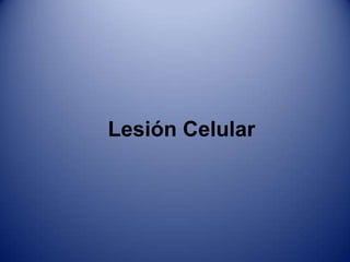 Adaptación CelularAtrofiaEs la reducción de tamaño de la célula por la perdida de sustancia celular.