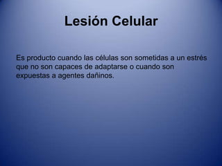Adaptación CelularMetaplasiaEs un cambio reversible en el que una célula adulta es sustituida por otro tipo de célula adulta.Ejemplo:Los tejidos Embrionarios 