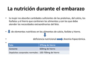 La nutrición durante el embarazo 
• la mujer no absorbe cantidades suficientes de las proteínas, del calcio, los 
fosfatos y el hierro que contienen los alimentos y con las que debe 
atender las necesidades extraordinarias del feto. 
• de elementos nutritivos en los alimentos de calcio, fosfato y hierro. 
• deficiencia nutricional Anemia hipocrómica. 
• 
Feto 375mg de hierro 
Gestante 600mg de hierro 
Depósitos corporales normales : 100-700mg de hierro 
 