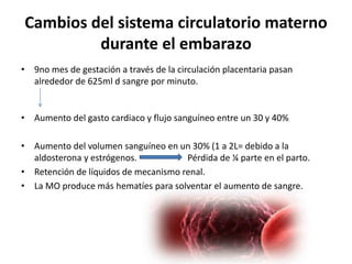 Cambios del sistema circulatorio materno 
durante el embarazo 
• 9no mes de gestación a través de la circulación placentaria pasan 
alrededor de 625ml d sangre por minuto. 
• Aumento del gasto cardiaco y flujo sanguíneo entre un 30 y 40% 
• Aumento del volumen sanguíneo en un 30% (1 a 2L= debido a la 
aldosterona y estrógenos. Pérdida de ¼ parte en el parto. 
• Retención de líquidos de mecanismo renal. 
• La MO produce más hematíes para solventar el aumento de sangre. 
 