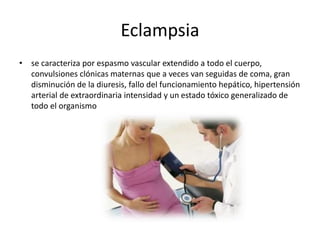 Eclampsia 
• se caracteriza por espasmo vascular extendido a todo el cuerpo, 
convulsiones clónicas maternas que a veces van seguidas de coma, gran 
disminución de la diuresis, fallo del funcionamiento hepático, hipertensión 
arterial de extraordinaria intensidad y un estado tóxico generalizado de 
todo el organismo 
 