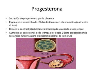 Progesterona 
• Secreción de progesterona por la placenta 
• Promueve el desarrollo de células desiduales en el endometrio (nutrientes 
al feto). 
• Reduce la contractilidad del útero (impidiendo un aborto espontáneo) 
• Aumenta las secreciones de la trompa de Falopio y útero proporcionando 
sustancias nutritivas para el desarrollo normal de la mórula 
 