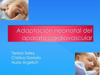 Adaptación neonatal del aparato cardiovascular Teresa Soley Cristina Dorado  Nuria Argelich 