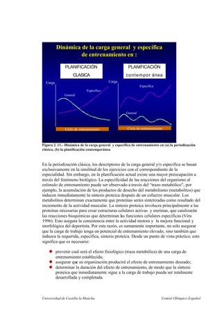 Universidad de Castilla la Mancha Comité Olímpico Español
DinDináámica de la carga general y especmica de la carga general y especííficafica
de entrenamiento ende entrenamiento en ::
General
Específica
Ciclo de entrenamiento
Carga
General
Específica
Carga
Ciclo de entrenamiento
PLANIFICACIÓN
CLASICA
PLANIFICACIÓN
contempor ánea
Figura 2. 11.- Dinámica de la carga general y específica de entrenamiento en (a) la periodización
clásica, (b) la planificación contemporánea
En la periodización clásica, los descriptores de la carga general y/o específica se basan
exclusivamente en la similitud de los ejercicios con el correspondiente de la
especialidad. Sin embargo, en la planificación actual existe una mayor preocupación a
través del fenómeno biológico. La especificidad de las reacciones del organismo al
estímulo de entrenamiento puede ser observado a través del “trazo metabólico”, por
ejemplo, la acumulación de los productos de desecho del metabolismo (metabolitos) que
inducen inmediatamente la síntesis proteica después de un esfuerzo muscular. Los
metabolitos determinan exactamente que proteínas serán sintetizadas como resultado del
incremento de la actividad muscular. La síntesis proteica involucra principalmente a las
proteínas necesarias para crear estructuras celulares activas y enzimas, que catalizarán
las reacciones bioquímicas que determinan las funciones celulares específicas (Viru
1996). Esto asegura la consistencia entre la actividad motora y la mejora funcional y
morfológica del deportista. Por esta razón, es sumamente importante, no solo asegurar
que la carga de trabajo tenga un potencial de entrenamiento elevado, sino también que
induzca la requerida, específica, síntesis proteica. Desde un punto de vista práctico, esto
significa que es necesario:
prevenir cual será el efecto fisiológico (traza metabólica) de una carga de
entrenamiento establecida;
asegurar que su organización producirá el efecto de entrenamiento deseado;
determinar la duración del efecto de entrenamiento, de modo que la síntesis
proteica que inmediatamente sigue a la carga de trabajo pueda ser totalmente
desarrollada y completada.
 