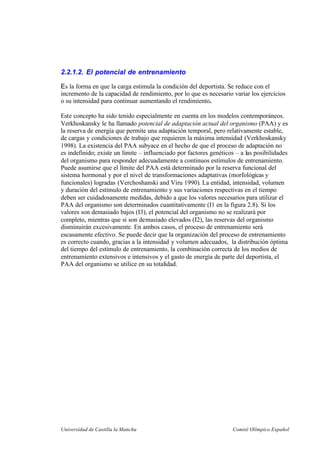 Universidad de Castilla la Mancha Comité Olímpico Español
2.2.1.2. El potencial de entrenamiento
Es la forma en que la carga estimula la condición del deportista. Se reduce con el
incremento de la capacidad de rendimiento, por lo que es necesario variar los ejercicios
o su intensidad para continuar aumentando el rendimiento.
Este concepto ha sido tenido especialmente en cuenta en los modelos contemporáneos.
Verkhoskansky le ha llamado potencial de adaptación actual del organismo (PAA) y es
la reserva de energía que permite una adaptación temporal, pero relativamente estable,
de cargas y condiciones de trabajo que requieren la máxima intensidad (Verkhoskansky
1998). La existencia del PAA subyace en el hecho de que el proceso de adaptación no
es indefinido; existe un límite – influenciado por factores genéticos – a las posibilidades
del organismo para responder adecuadamente a continuos estímulos de entrenamiento.
Puede asumirse que el límite del PAA está determinado por la reserva funcional del
sistema hormonal y por el nivel de transformaciones adaptativas (morfológicas y
funcionales) logradas (Verchoshanski and Viru 1990). La entidad, intensidad, volumen
y duración del estímulo de entrenamiento y sus variaciones respectivas en el tiempo
deben ser cuidadosamente medidas, debido a que los valores necesarios para utilizar el
PAA del organismo son determinados cuantitativamente (I1 en la figura 2.8). Si los
valores son demasiado bajos (I3), el potencial del organismo no se realizará por
completo, mientras que si son demasiado elevados (I2), las reservas del organismo
disminuirán excesivamente. En ambos casos, el proceso de entrenamiento será
escasamente efectivo. Se puede decir que la organización del proceso de entrenamiento
es correcto cuando, gracias a la intensidad y volumen adecuados, la distribución óptima
del tiempo del estímulo de entrenamiento, la combinación correcta de los medios de
entrenamiento extensivos e intensivos y el gasto de energía de parte del deportista, el
PAA del organismo se utilice en su totalidad.
 