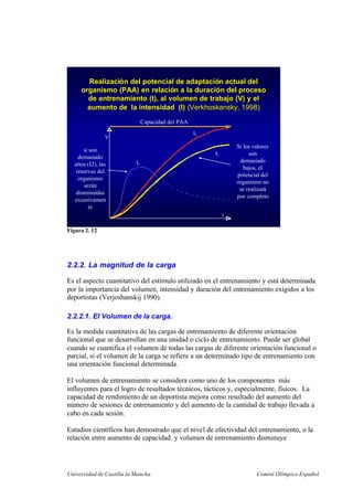 Universidad de Castilla la Mancha Comité Olímpico Español
RealizaciRealizacióón del potencial de adaptacin del potencial de adaptacióón actual deln actual del
organismo (PAA) en relaciorganismo (PAA) en relacióón a la duracin a la duracióón del proceson del proceso
de entrenamiento (t), al volumen de trabajo (V) y elde entrenamiento (t), al volumen de trabajo (V) y el
aumento de la intensidad (I)aumento de la intensidad (I) ((VerkhoskanskyVerkhoskansky, 1998), 1998)
Capacidad del PAA
V
t
I2
I1
I3
Si los valores
son
demasiado
bajos, el
potencial del
organismo no
se realizará
por completo
si son
demasiado
altos (I2), las
reservas del
organismo
serán
disminuidas
excesivamen
te
Figura 2. 12
2.2.2. La magnitud de la carga
Es el aspecto cuantitativo del estímulo utilizado en el entrenamiento y está determinada
por la importancia del volumen, intensidad y duración del entrenamiento exigidos a los
deportistas (Verjoshanskij 1990).
2.2.2.1. El Volumen de la carga.
Es la medida cuantitativa de las cargas de entrenamiento de diferente orientación
funcional que se desarrollan en una unidad o ciclo de entrenamiento. Puede ser global
cuando se cuantifica el volumen de todas las cargas de diferente orientación funcional o
parcial, si el volumen de la carga se refiere a un determinado tipo de entrenamiento con
una orientación funcional determinada.
El volumen de entrenamiento se considera como uno de los componentes más
influyentes para el logro de resultados técnicos, tácticos y, especialmente, físicos. La
capacidad de rendimiento de un deportista mejora como resultado del aumento del
número de sesiones de entrenamiento y del aumento de la cantidad de trabajo llevada a
cabo en cada sesión.
Estudios científicos han demostrado que el nivel de efectividad del entrenamiento, o la
relación entre aumento de capacidad y volumen de entrenamiento disminuye
 